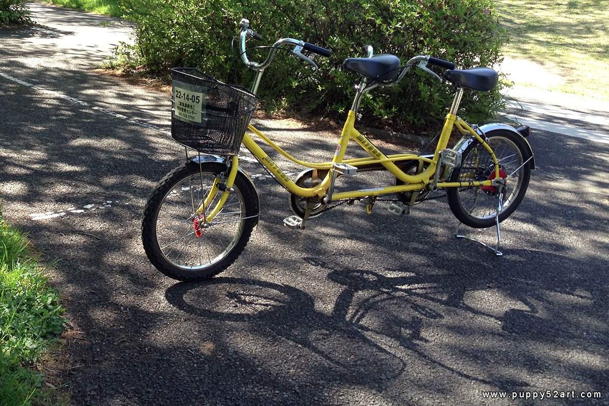 🌳 국영 쇼와 기념 공원 이미지 4